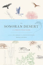 The Sonoran Desert
