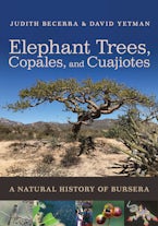 Elephant Trees, Copales, and Cuajiotes Elephant Trees, Copales, and Cuajiotes