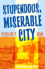 Cover of 'Stupendous, Miserable City' 
