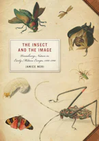 Cover of 'The Insect and the Image' 