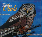 Cover of 'Twelve Owls' 