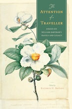 The Attention of a Traveller The Attention of a Traveller