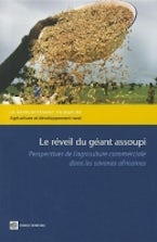 Le Réveil Du Géant Assoupi
