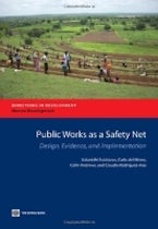 Public Works As a Safety Net