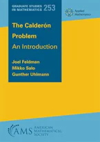 Cover of 'The Calderon Problem' 