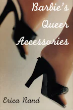 Cover of 'Barbies Queer Accessories' 