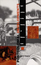 Cover of 'Postcolonial Developments' 