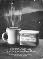 Cover of 'The Irish in Us' 