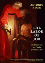 Cover of 'The Labor of Job' 