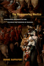 Cover of 'The Disappearing Mestizo' 