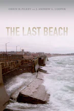 Cover of 'The Last Beach' 