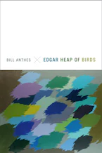 Cover of 'Edgar Heap of Birds' 