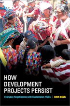 Cover of 'How Development Projects Persist' 