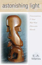 Cover of 'Astonishing Light' 