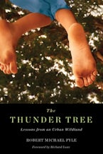 Thunder Tree Thunder Tree