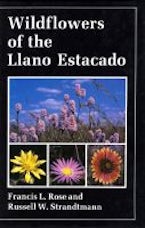 Wildflowers of the Llano Estacado