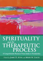 Cover of 'Spirituality and the Therapeutic Process' 