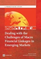 Dealing with the Challenges of Macro Financial Linkages in Emerging Markets