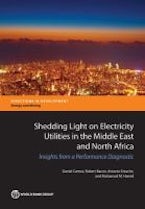 Shedding Light on Electricity Utilities in the Middle East and North Africa Shedding Light on Electricity Utilities in the Middle East and North Africa