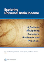 Cover of 'Decoding Universal Basic Income' 