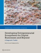 Developing Entrepreneurial Ecosystems for Digital Businesses and Beyond Developing Entrepreneurial Ecosystems for Digital Businesses and Beyond