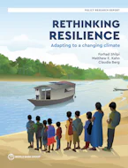 Cover of 'Rethinking Resilience' 
