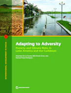 Cover of 'Adapting to Adversity' 