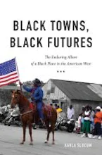 Cover of 'Black Towns, Black Futures' 
