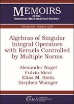 Algebras of Singular Integral Operators with Kernels Controlled by Multiple Norms Algebras of Singular Integral Operators with Kernels Controlled by Multiple Norms