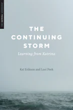Cover of 'The Continuing Storm' 