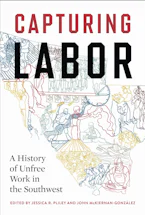 Cover of 'Capturing Labor' 
