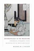 Cover of 'Anthropology in the Meantime' 
