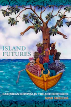 Cover of 'Island Futures' 