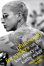 Cover of 'Philosophy for Spiders' 