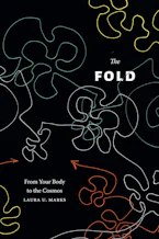 Cover of 'The Fold' 