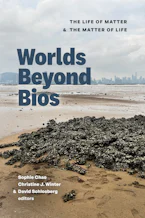 Cover of 'Worlds Beyond Bios' 