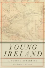 Cover of 'Young Ireland' 