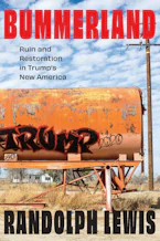 Cover of 'Bummerland' 