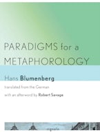 Paradigms for a Metaphorology