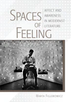 Cover of 'Spaces of Feeling' 
