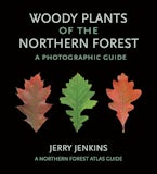 Woody Plants of the Northern Forest