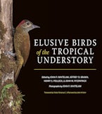 Elusive Birds of the Tropical Understory