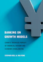 Cover of 'Banking on Growth Models' 