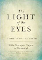 Cover of 'The Light of the Eyes' 