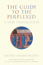 Cover of 'The Guide to the Perplexed' 