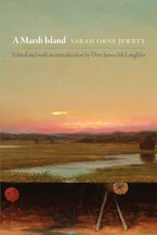 Cover of 'A Marsh Island' by Sarah Orne Jewett and Don James McLaughlin 
