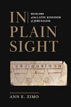Cover of 'In Plain Sight' by Ann E. Zimo 