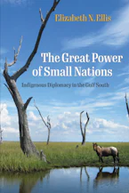 Cover of 'The Great Power of Small Nations' by Elizabeth N. Ellis 