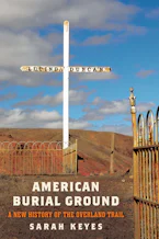 Cover of 'American Burial Ground' by Sarah Keyes 