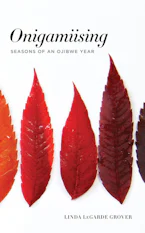 Cover of 'Onigamiising' 